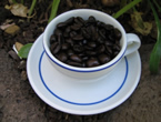 French/Espresso Roast Colombian Supremo